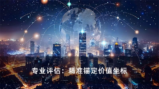 专业评估：精准锚定价值坐标